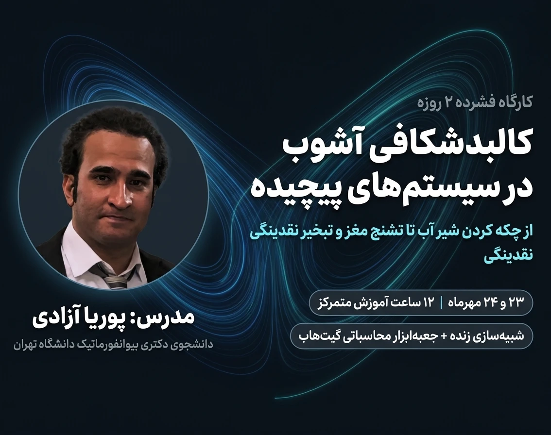 کالبدشکافی آشوب در سیستم‌های پیچیده: از چکه کردن شیر آب تا تشنج مغز و تبخیر نقدینگی