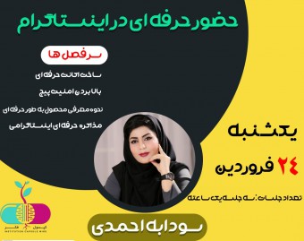 وبینار حضور حرفه ای در اینستاگرام