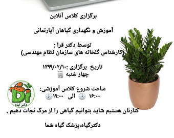 وبینار مراقبت و نگهداری گیاهان آپارتمانی