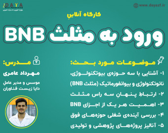 وبینار ورود به مثلث BNB