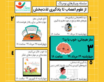 وبینار مغز هیجانی: خوب یا بد؟