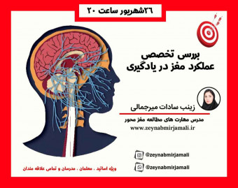 وبینار بررسی تخصصی عملکرد مغز در یادگیری