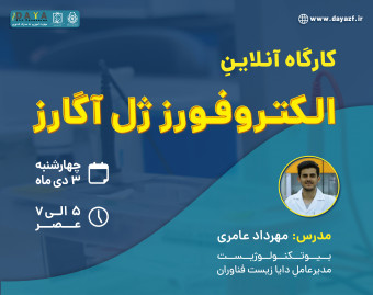 وبینار الکتروفورز ژل آگارز