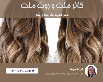 وبینار کالر ملت و روت ملت (ROOT MELT & COLOR MELT)