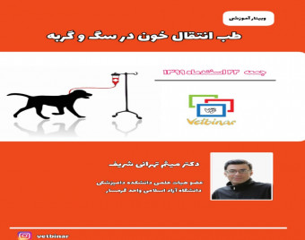 وبینار طب انتقال خون در سگ و گربه