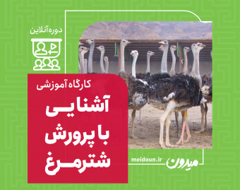 وبینار پیش درآمد پرورش شترمرغ