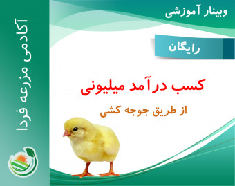 وبینار کسب درآمد میلیونی از طریق جوجه کشی