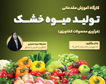 کارگاه آموزش مقدماتی تولید میوه خشک ( فرآوری محصولات کشاورزی )