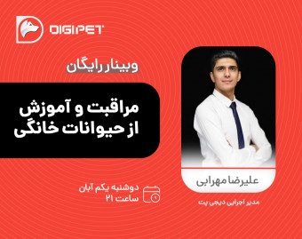 وبینار مراقبت و آموزش از حیوانات خانگی