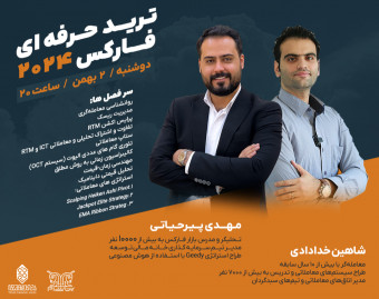 وبینار ترید حرفه‌ای فارکس 2024