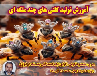 وبینار ایجاد کندوهای چند ملکه ای