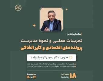 وبینار تجربیات عملی و نحوه مدیریت پرونده های اقتصادی و کثیر الشاکی