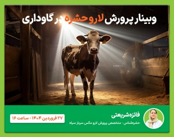 وبینار پرورش لارو سرباز در گاوداری