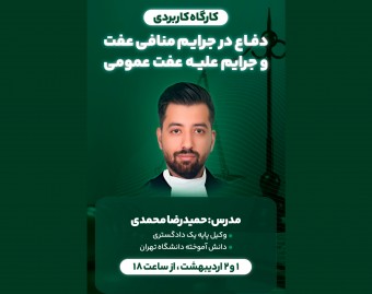 کارگاه کاربردی استراتژی های دفاع در جرایم منافی عفت و جرایم علیه عفت عمومی