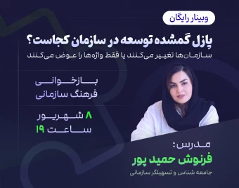 وبینار پازل گمشده توسعه در سازمان کجاست؟
