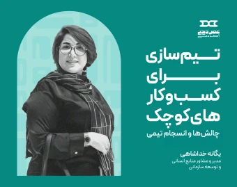 وبینار تیم سازی برای کسب و کارهای کوچک (چالش‌ها و انسجام تیمی)