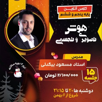 کلاس هوش تصویری و تجسمی تیزهوشان ششم استاد مسعود بیگدلی ترم دو دوره سالانه1404