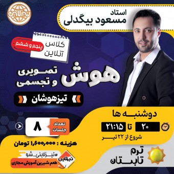 کلاس هوش تصویری و تجسمی تیزهوشان استاد مسعود بیگدلی ترم تابستان 1405